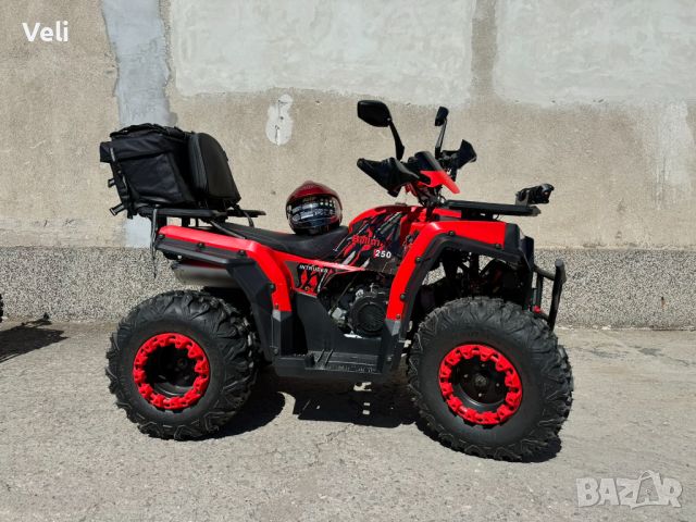 АТВ-ATV 250 сс нов модел 2024 год., снимка 9 - Мотоциклети и мототехника - 45168662