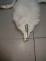 Не ползвана кожа,голям размер от бяла лисица., снимка 5