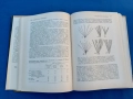 Изменчивост и еволюция на растенията , снимка 5