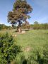 Слънчев  , панорамен УПИ -урегулиран поземлен имот , снимка 2