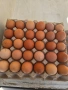 домашни яйца , снимка 1