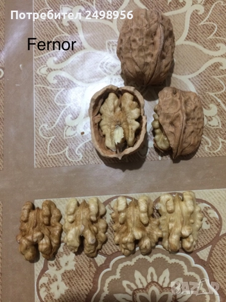 орехи с черупка сорт Фернор реколта 2025, снимка 1