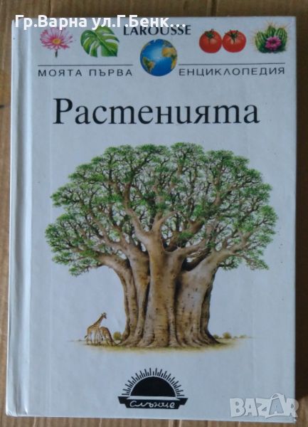 Растенията Моята първа енцилклопедия  10лв, снимка 1