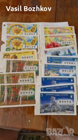 Лотарийни билети от 2005