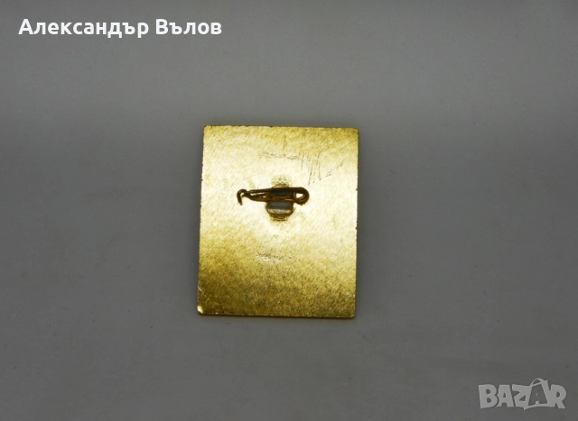 Уникат Преса Пропуск Панаир Пловдив Значка Стара 1985 Журналисти Есен, снимка 3 - Антикварни и старинни предмети - 51693115