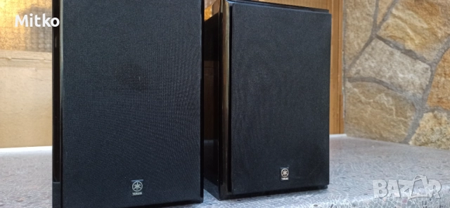 Pioneer NX-E300 букшелф тонколони