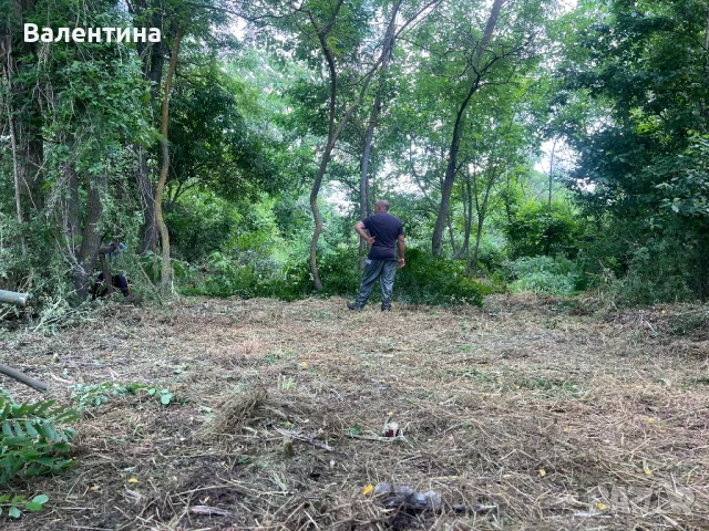 Почистване на дворове , снимка 2 - Други почистващи услуги - 50820860