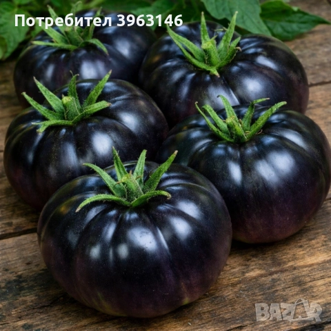 Семена за Стотинки, снимка 6 - Сортови семена и луковици - 52838410