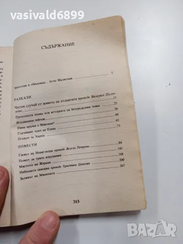 Леонид Панасенко - Гневът на Ненагледна , снимка 5 - Художествена литература - 49559864