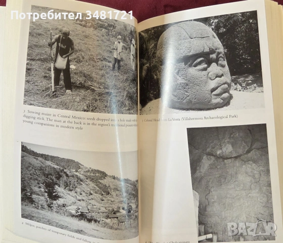 История на ацтеките и маите / Aztecs & Maya, снимка 5 - Енциклопедии, справочници - 53749228