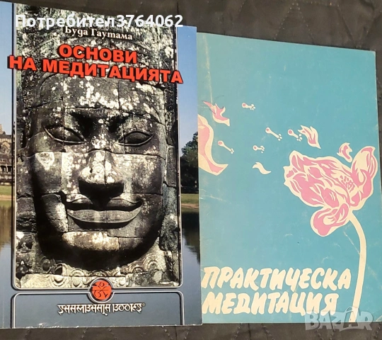 Основи на медитацията Буда Гаутама, Практическа медитация, снимка 2 - Езотерика - 54141802