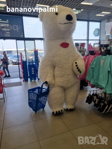 Изненада с Гигантска Бяла мечка , снимка 5 - Аниматори, танцьори, статисти… - 52924000