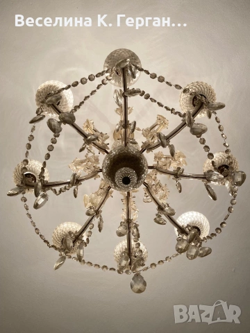 Полилей, снимка 6 - Полилеи - 53763617