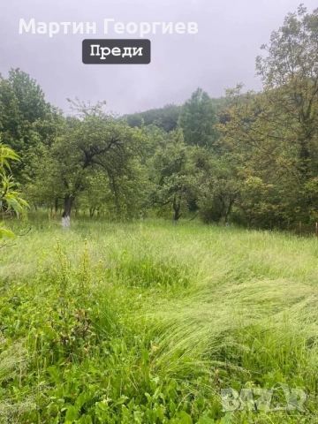 Почистване и косене на имоти , снимка 11 - Други почистващи услуги - 53816255