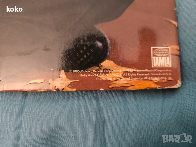 Музикални плочи Peter Tosh Stevie Wonder , снимка 6 - Грамофонни плочи - 52933716