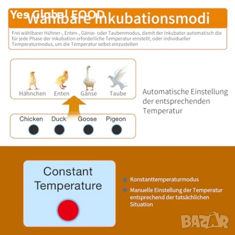 Chalixion инкубатор за 36 яйца автоматичен, снимка 4 - Друга електроника - 53443627