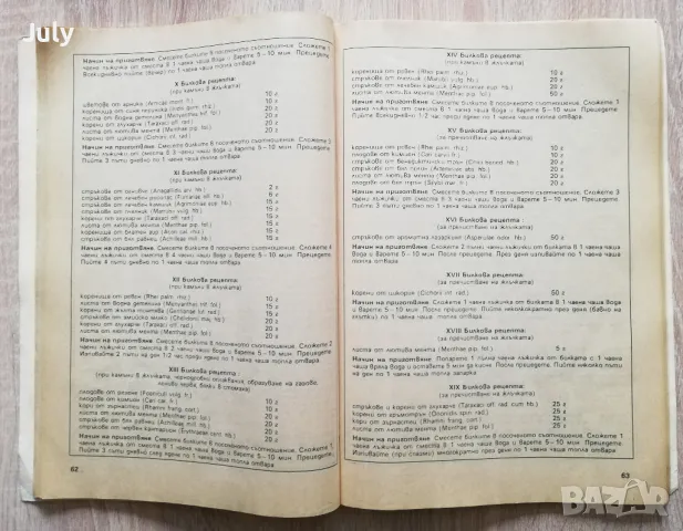 Лечебната сила на природата, 300 билкови рецепти, Фриц Гайгер, снимка 2 - Специализирана литература - 48472118