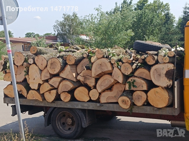 Дърва за огрев , снимка 16 - Дърва за огрев - 45429102