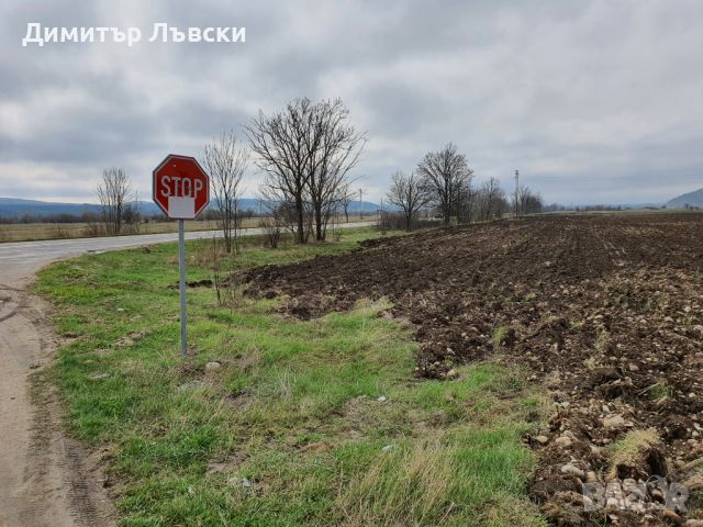 Парцел в област София, гр. Самоков, 3442 м², снимка 3 - Парцели - 46508229