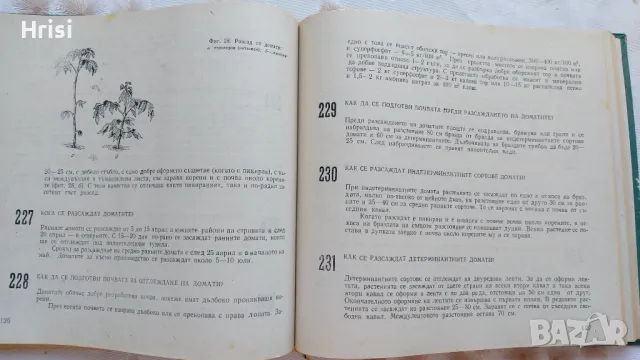 666 съвета за любителя градинар , снимка 3 - Специализирана литература - 47492688