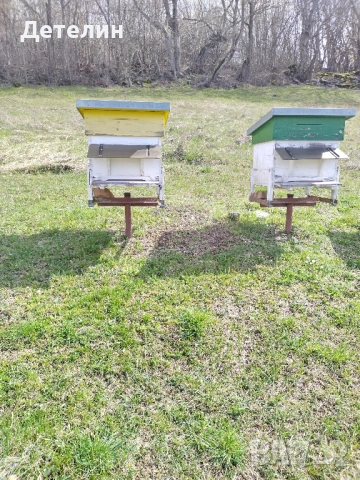 пчелни кошери Дадан-Блат 12 рамкови , снимка 3 - За пчели - 54009773