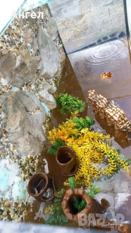 Аквариум за рибки , снимка 8 - Аквариуми - 54006395