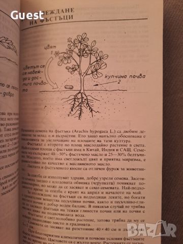 Тънкости в градинарството, снимка 5 - Специализирана литература - 46087166