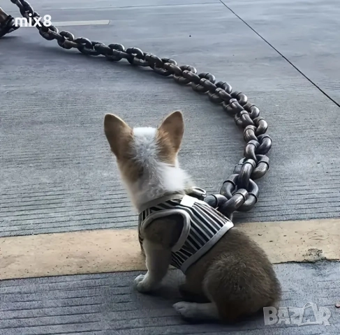 Забавна верига за малко куче с голям карабинер , снимка 6 - За кучета - 52281643