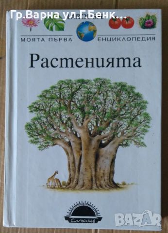 Растенията Моята първа енцилклопедия  10лв, снимка 1 - Специализирана литература - 46407081