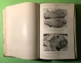 Стара Книга Патология и Лечение на Инфекциозни Болести 2 част 1919 г./1271 страници, снимка 7