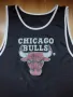 NBA / Chicago Bulls - баскетболен потник, снимка 5