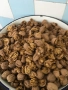 орехи ядка реколта 2025, снимка 2