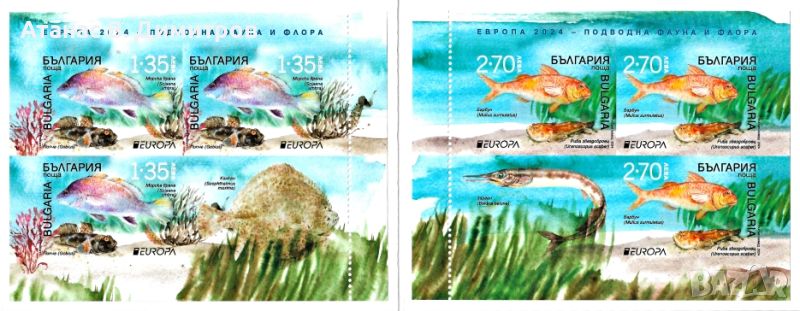 Чисти марки в карнетка Европа СЕПТ Риби 2024 от България, снимка 1
