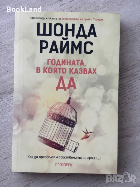 Годината, в която казвах ДА, Шонда Раймс , снимка 1