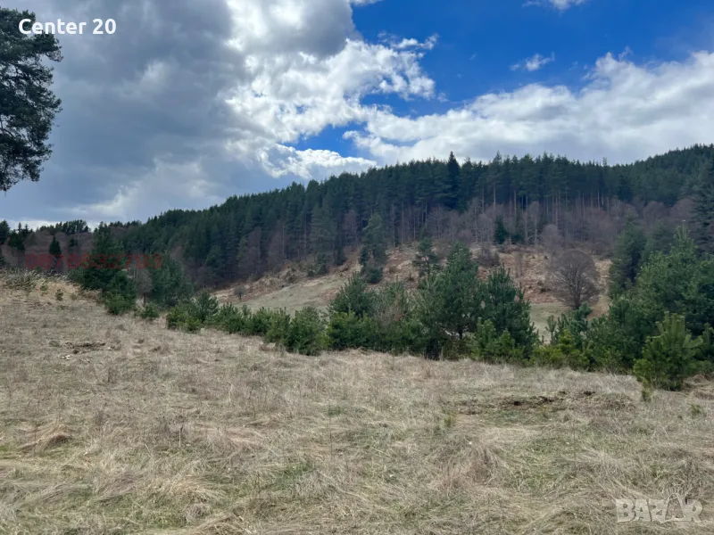 Продава ПАРЦЕЛ вилна зона м. Дикчан, снимка 1