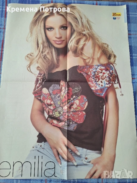 Плакат/Емилия/Малина, снимка 1