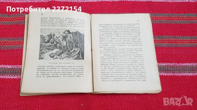 Стара книга Аржентина, снимка 3 - Антикварни и старинни предмети - 48359924