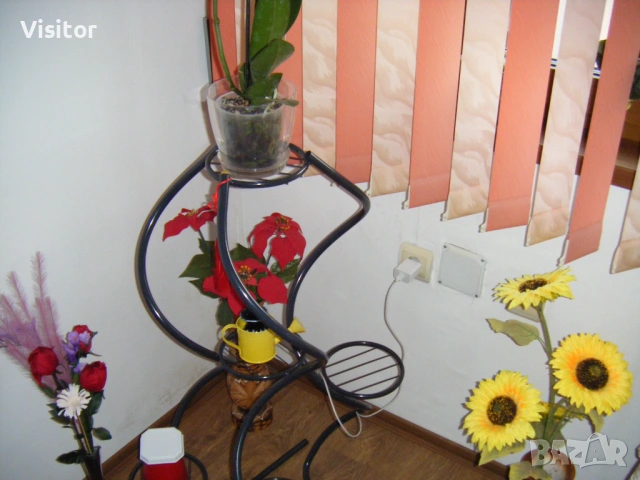 Fujifilm FinePix Z10fd - 7мРх, снимка 17 - Фотоапарати - 53398960