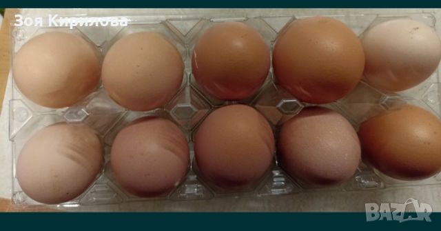 Домашни яйца от Елинпелинският край., снимка 1 - Домашни продукти - 45747978