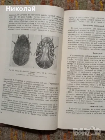 Клещевье спирохетозь на руски, снимка 5 - Специализирана литература - 48750008