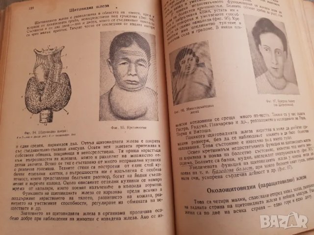 Книга"Анатомия на човека" Проф. Георги Гълъбов и проф.Гоцев 1955година, снимка 4 - Специализирана литература - 48732938