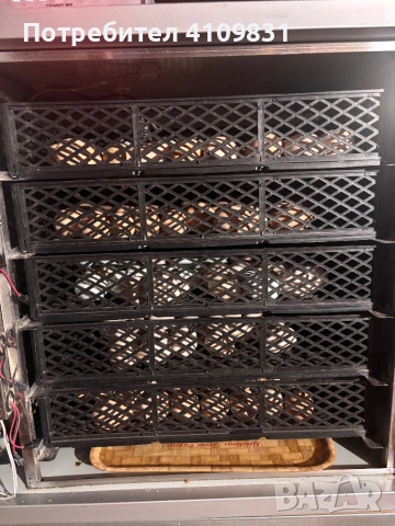 Автоматичен Tehno MS 300 яйца, снимка 3 - За птици - 53642305