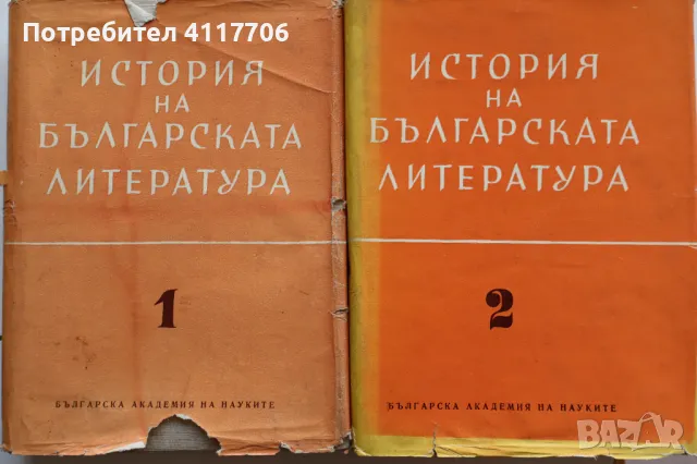 История на Българската Литература - БАН, снимка 1 - Художествена литература - 46898456