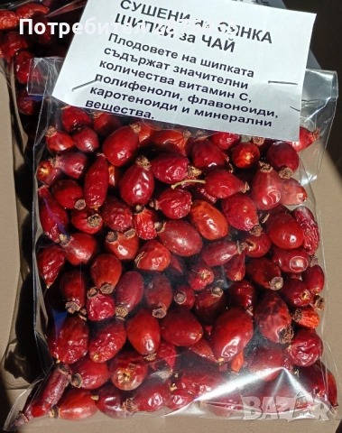 ДИВИ ШИПКИ СУШЕНИ НА СЯНКА