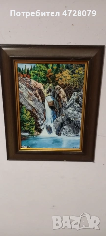 Kartina suchurum karlovo, снимка 3 - Картини - 53356173