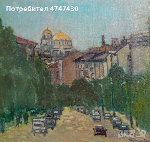 Петър Ненов маслени бои пейзаж от София, снимка 5 - Картини - 53635797