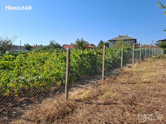 Имот в с. Калипетрово 1194 кв.м., снимка 9 - Парцели - 51746563