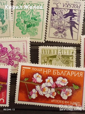 Стари пощенски марки от цял свят смесени ЦВЕТЯ за КОЛЕКЦИЯ ДЕКОРАЦИЯ 52116, снимка 8 - Филателия - 53217789