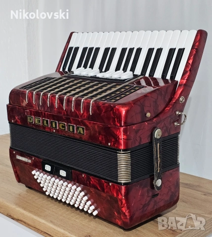 Акордеон Delicia Arnaldo III , снимка 5 - Акордеони - 54187288