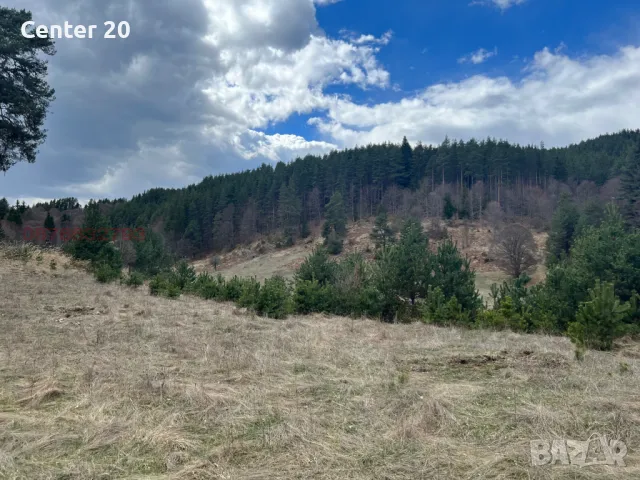 Продава ПАРЦЕЛ вилна зона м. Дикчан